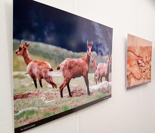 Exposition photographique sur les sites AIRBUS Toulouse - Blagnac