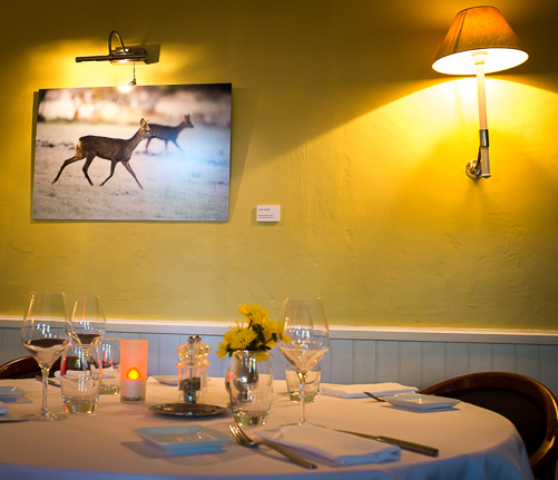 Exposition au restaurant gastronomique Le Cantou à Toulouse