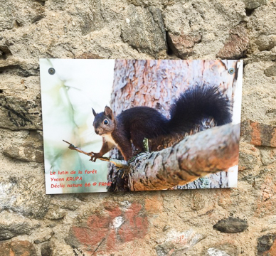 Exposition à la maison de la vallée d'Eyne