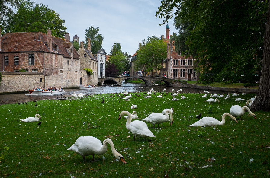 La cour des béguines à Bruges