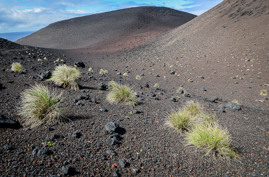 Capelinhos sur l'île de Faial aux Açores