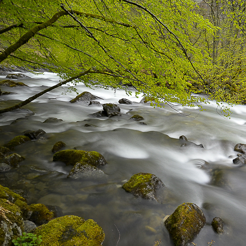 Les Pyrénées en randonnées