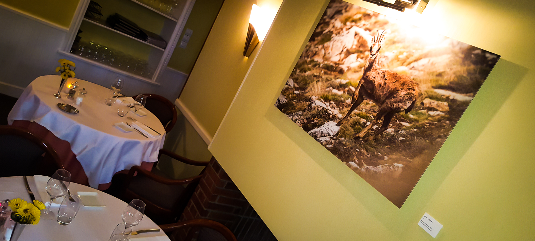 Exposition au restaurant gastronomique Le Cantou à Toulouse